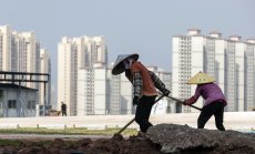 Олюляващите се китайски имотни гиганти подкопават опита на Си да спре кризата