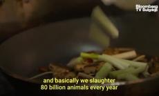 Какъв вкус има пилешкото на растителна основа