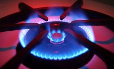 Европа се самозалъгва за енергийните си неволи