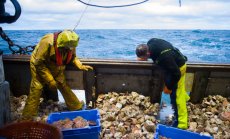 Траленето на дъното на океана води до отделяне на тонове въглероден диоксид