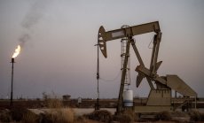 Путин няма да позволи на ОПЕК да намали цените на петрола