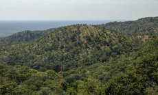 Глобалните пазари на въглеродни емисии са изправени пред сътресения 