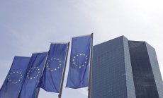 ЕЦБ ще забави намаляването на лихвите поради рисковете от изборите