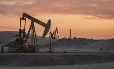 Със или без примирие, светът продължава да плува в петрол