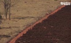 Кафето ви е по-скъпо заради времето