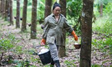 Поправката на спукана гума ще поскъпне заради климатичните промени