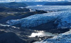 Прищявката на Тръмп: Гренландия за критични минерали е пълна глупост