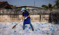 Биоразградимите пластмаси може да нанесат повече вреда, отколкото полза