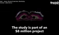 Вид бръмбар може да помогне на инженери да създадат по-здрави самолети