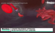 FDA одобри лечение на сърповидна анемия, част 1