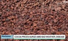 Какаото се изнася контрабандно от Кот д'Ивоар - Част 1