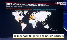 Грифин: Маймунската шарка не е само африканска болест