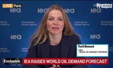 Торил Бозони: Търсенето на петрол в Китай е над очакванията 