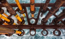 Природозащитна група оспорва в съда лицензи за проучване на нефт и газ в Северно море