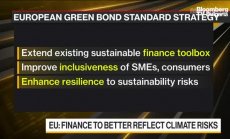 Какъв е Европейският стандарт за зелени облигации