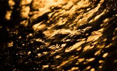 Спекулативни ли са ръстовете в цената на златото?