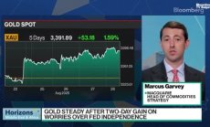 Macquarie: Съдбата на Кук може да определи рисковата премия на златото