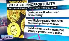 Канева: Паузата при златото сега е добре