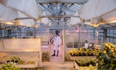 Климатичните промени стартират космическа надпревара за семена мутанти