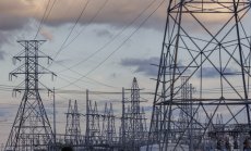 AI е огромна електрическа свиня. И това е страхотно за природата