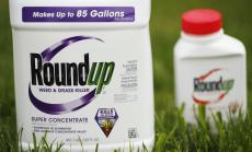 Bayer обмисля да придобие Monsanto за $43 млрд.