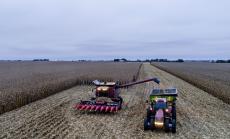 Китай обмисля да купи 3 млн. тона царевица от САЩ