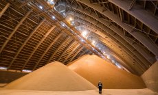 България увеличaва запасите си от пшеница, Русия заплаши да спре торовете