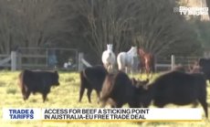 Австралия не харесва предложението на ЕС за свободна търговия