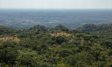 Руски въглеродни кредити се насочват към Зимбабве с помощ от Южна Африка и Беларус