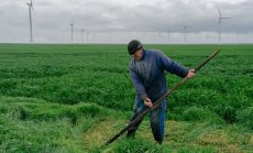 Ако малките ферми в Европа не могат да оцелеят, нека изчезнат