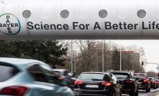 Bayer се срина най-много в своята история, усложнявайки отделянето на Monsanto 