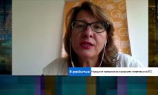 Весела Чернева: България ще бъде ощетена от обвързването на фондовете с върховенството на закона