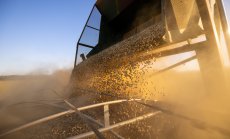 Хранително-вкусовата промишленост все повече ще разчита на местно производство