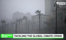 Екологичният скок при зеления преход, част 1