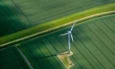 Петдесет нюанса зелено: как мениджърите тълкуват правилата за устойчивост на ЕС