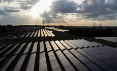 Повечето корпоративни планове за преход към климатична устойчивост са ненадеждни