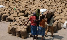 Световните хранителни проблеми се трупат, докато Индия ограничава износа на пшеница