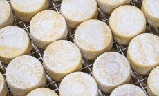 Китай ще разследва млечните продукти на ЕС, засилвайки търговското напрежение