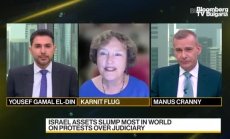 Флуг вижда риск за перспективата на Израел от съдебната реформа