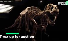 Christie's продава тиранозавър