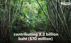  Властите в Тайланд с план за опазване на природата