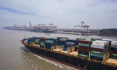 Притесненията за митата са над нивата от 2018 г. и доминираха в отчетите