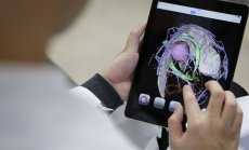 Студентите избягват математиката в университетите, привлечени от IT сектора