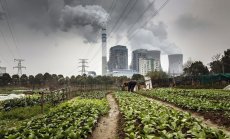 Китай рискува нова дългова криза, за да избегне прекъсвания на тока