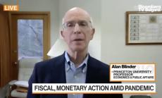 Проф. Блайндър: Нужно е целево финансиране