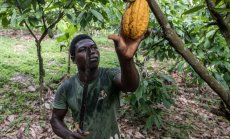 Големите производители на храни в света отхвърлят правилата на ЕС за обезлесяване