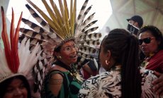 Дезинформацията подкопа COP30 и възможностите за рационален икономически дебат