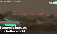 Затоплянето до 2100г може да намали с 20% БВП