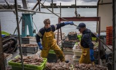 Франция поставя краен срок на Великобритания в спора за разрешителните за риболов