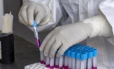 Коронавирусът в България: 1186 са излекуваните за последните денонощие